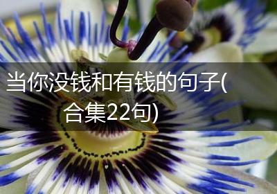 当你没钱和有钱的句子(合集22句)