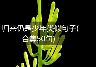 归来仍是少年类似句子(合集50句)
