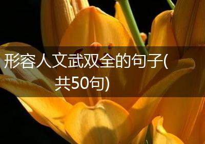 形容人文武双全的句子(共50句)