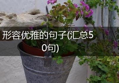 形容优雅的句子(汇总50句)