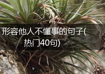 形容他人不懂事的句子(热门40句)