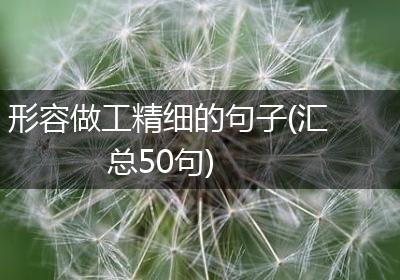 形容做工精细的句子(汇总50句)