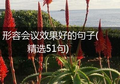 形容会议效果好的句子(精选51句)