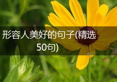 形容人美好的句子(精选50句)