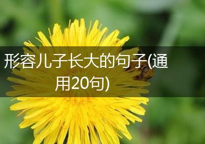 形容儿子长大的句子(通用20句)