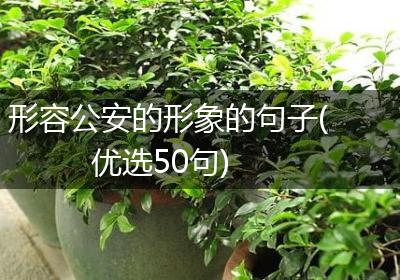 形容公安的形象的句子(优选50句)