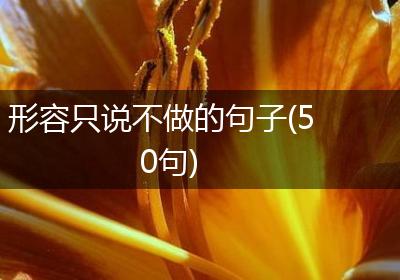形容只说不做的句子(50句)
