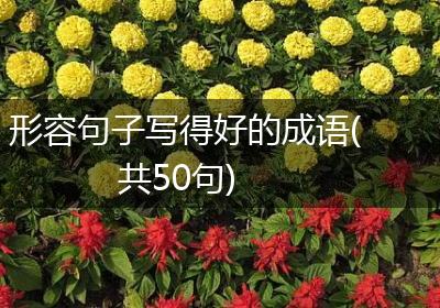 形容句子写得好的成语(共50句)