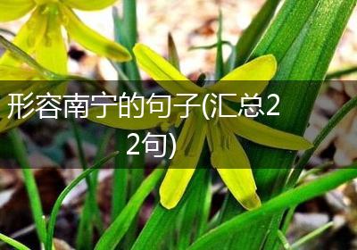 形容南宁的句子(汇总22句)