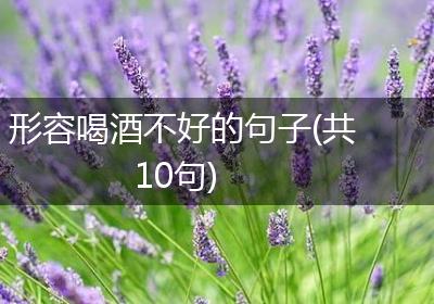 形容喝酒不好的句子(共10句)
