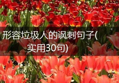 形容垃圾人的讽刺句子(实用30句)