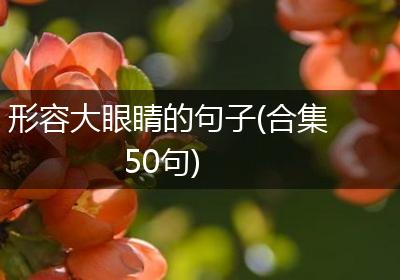 形容大眼睛的句子(合集50句)