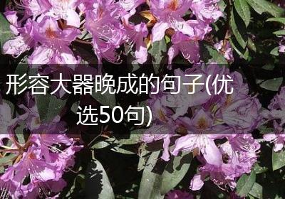 形容大器晚成的句子(优选50句)