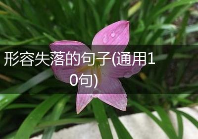 形容失落的句子(通用10句)
