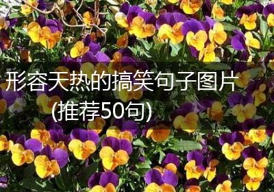 形容天热的搞笑句子图片(推荐50句)