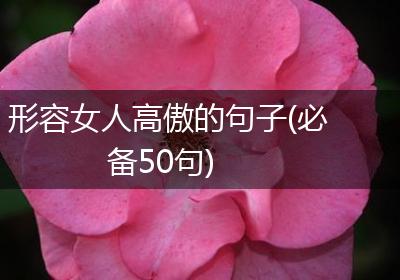 形容女人高傲的句子(必备50句)