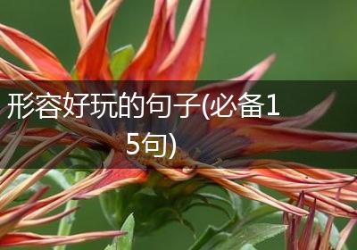 形容好玩的句子(必备15句)