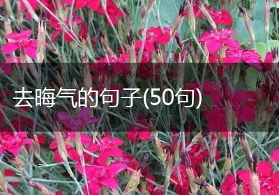 去晦气的句子(50句)