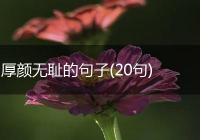 厚颜无耻的句子(20句)