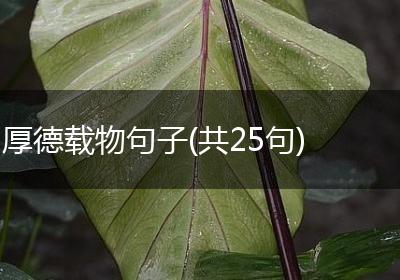 厚德载物句子(共25句)