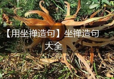【用坐禅造句】坐禅造句大全