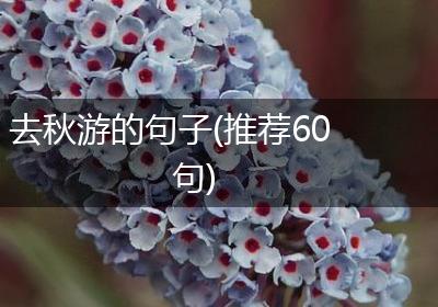 去秋游的句子(推荐60句)