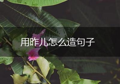用昨儿怎么造句子
