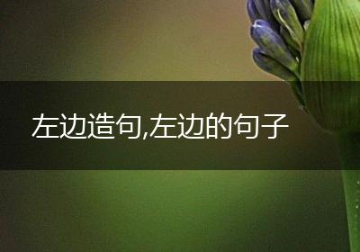左边造句,左边的句子