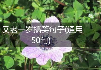 又老一岁搞笑句子(通用50句)
