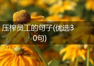 压榨员工的句子(优选30句)