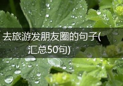 去旅游发朋友圈的句子(汇总50句)