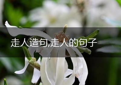 走人造句,走人的句子