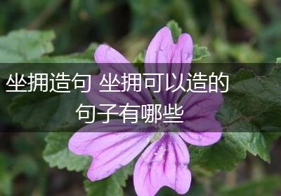 坐拥造句 坐拥可以造的句子有哪些