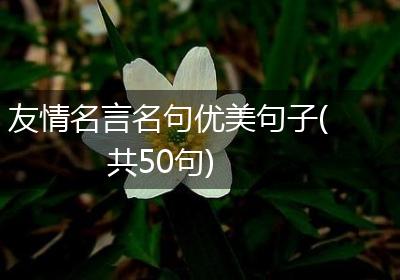 友情名言名句优美句子(共50句)