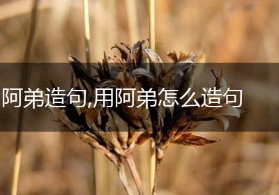阿弟造句,用阿弟怎么造句