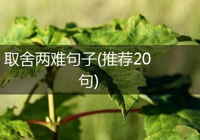 取舍两难句子(推荐20句)