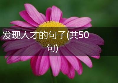 发现人才的句子(共50句)