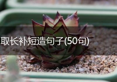 取长补短造句子(50句)