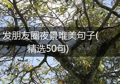 发朋友圈夜景唯美句子(精选50句)