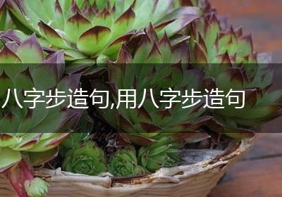 八字步造句,用八字步造句