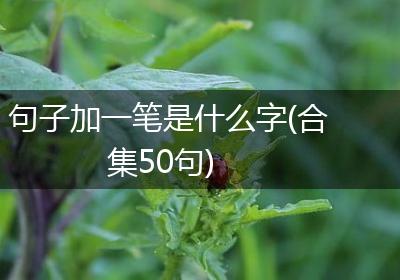 句子加一笔是什么字(合集50句)