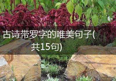 古诗带罗字的唯美句子(共15句)