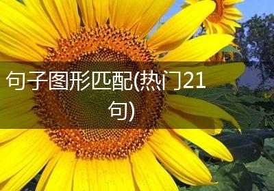 句子图形匹配(热门21句)