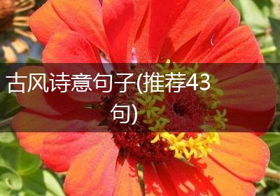 古风诗意句子(推荐43句)