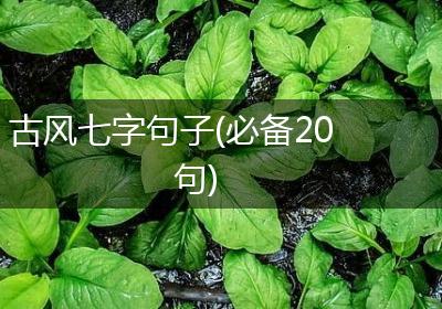 古风七字句子(必备20句)