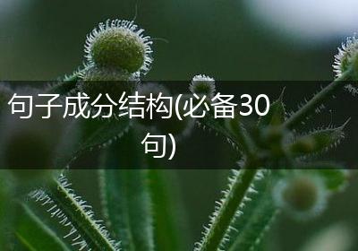 句子成分结构(必备30句)