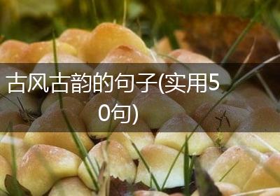 古风古韵的句子(实用50句)