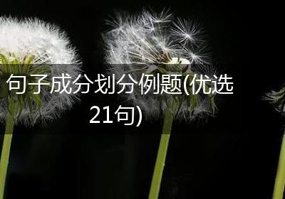 句子成分划分例题(优选21句)