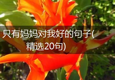 只有妈妈对我好的句子(精选20句)
