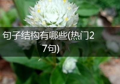 句子结构有哪些(热门27句)